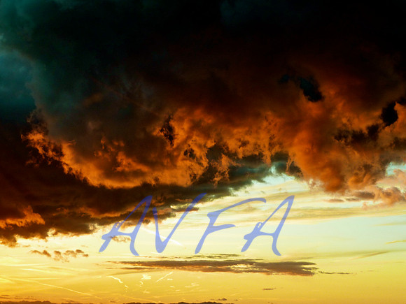 AVFA163