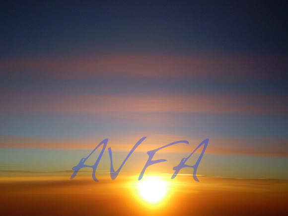 AVFA 6