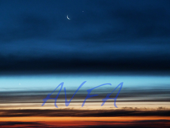 AVFA1004