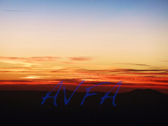AVFA80074