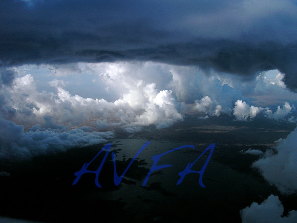 AVFA20