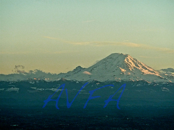AVFA213