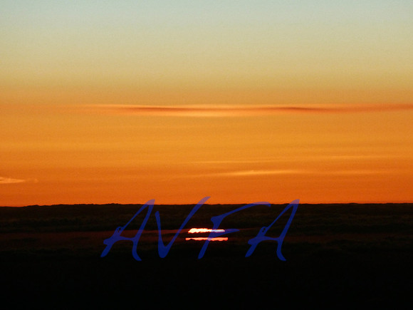AVFA582