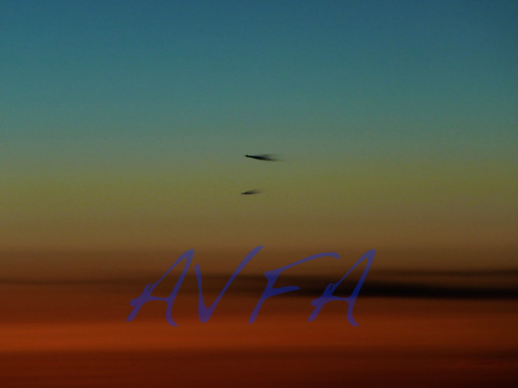 AVFA589