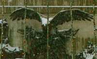 AVFA204