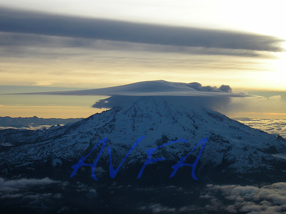 AVFA82