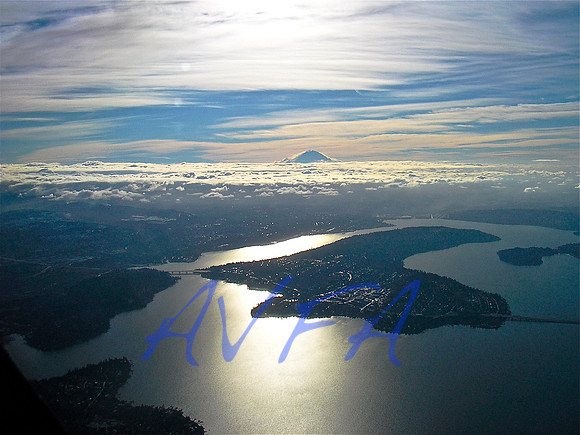 AVFA117
