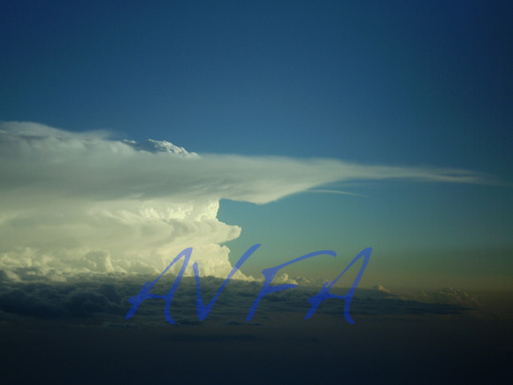 AVFA1103